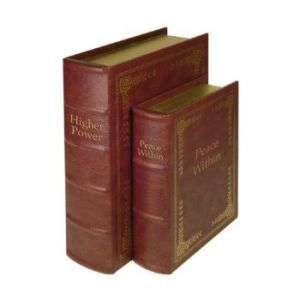 PS Products Set of Two Tan Cover Diversion/Concealment Books